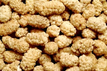 Kuru Dut Kaç Kalori?