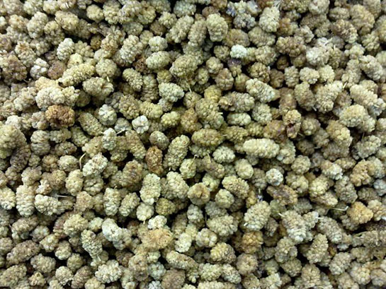 Dut Nasıl Kurutulur?