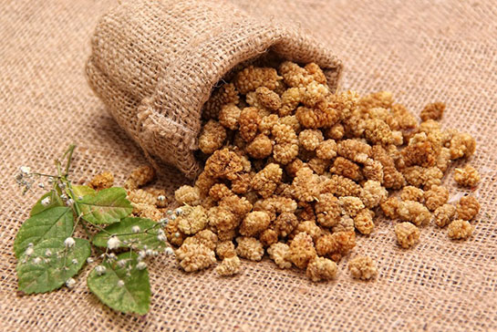 Kuru Dut Faydaları ve Kullanımı